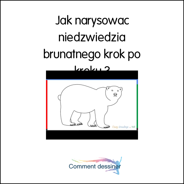 Jak narysować niedźwiedzia brunatnego krok po kroku